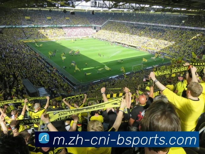 B体育平台生态图